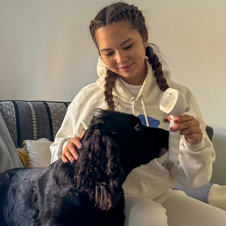 Animalova Brosse zen — Toilettage vapeur sans stress