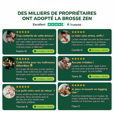 Animalova Brosse zen — Toilettage vapeur sans stress