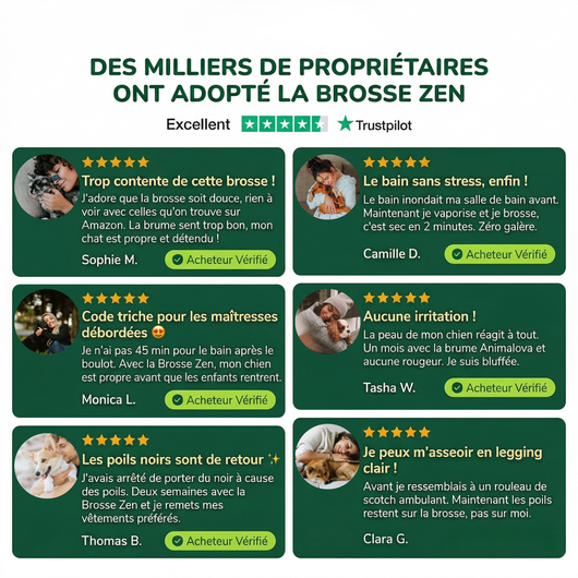 Animalova Brosse zen — Toilettage vapeur sans stress