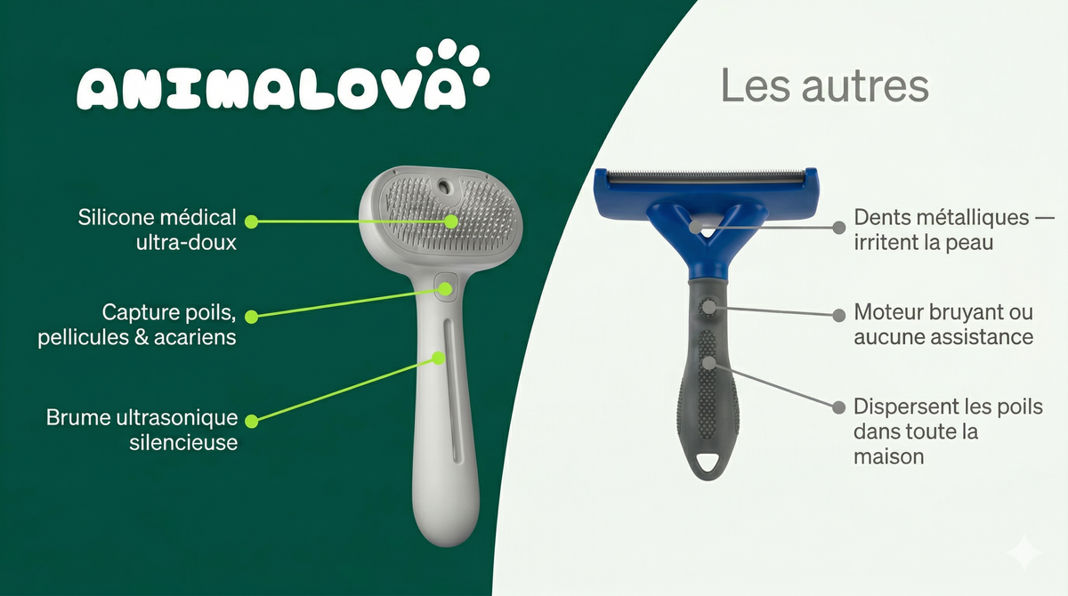 Comparaison animalova vs les autres brosses