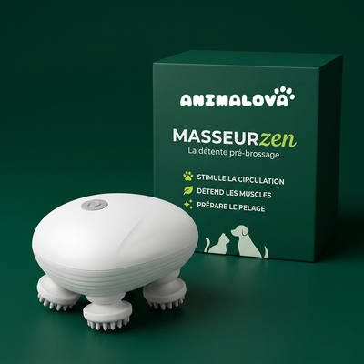 Masseur Zen — Détente Pré-Brossage