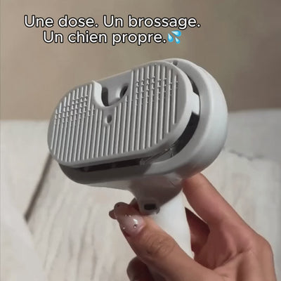 Animalova Brosse zen — Toilettage vapeur sans stress